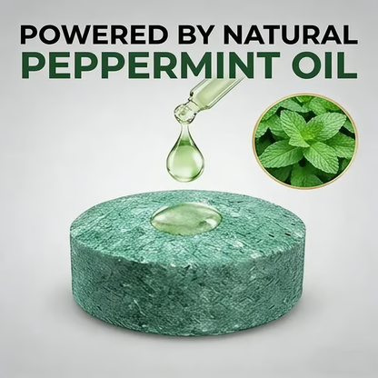 (🎁Last Day 50% OFF)🌿Natural Peppermint Rodent Repellent Balls (12 Pack) – Keep Rats, Mice & Pests Away Safely